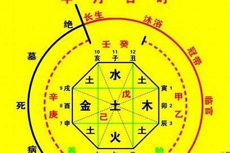 五行喜火土|八字入门基础 第六篇 如何判断八字喜用神